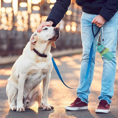 Portable Dog Pooper Scooper No Touch Claw Pickup Tool with Waste Bag Holder Easy One Hand Dog Walking Outdoor Pet Cleanup