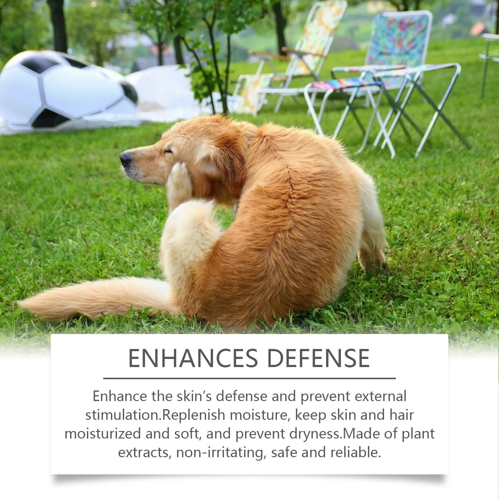 Dog Shampoo And Conditioner for Sensitive Skin Moisturizing Anti-Itching Flea Killer Pet Cleaning Dirt & Mite Removal PH Balance