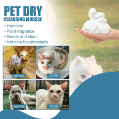 Cat Dry Shampoo No Rinse Dogs Cats Cleaning Mousse Rinse Free Pet Shampoo Bathless Cleaning Odor Removal For A Fresh Smelling