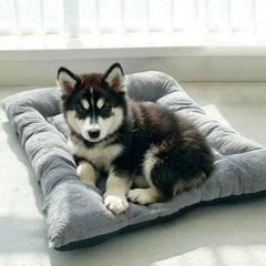 Winter Warm Thickened Multi-Size Pet Nest Pad Beds for Dogs Cats Cozy Cushion Cat Bed Mat Animals Sleeping Sofa All Seasons