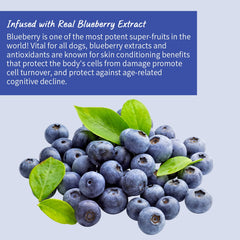 Professional Dog Whitening Shampoo Blueberry Brightening Formula Enhances Fur Shine Softness Pet Grooming Care