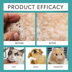 YEGBONG 50ML Pet Flea Control Spray for Dogs Cats Safe Daily Use Cleansing Repellent Anti External Veterinary Approved Formula
