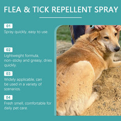YEGBONG 50ML Pet Flea Control Spray for Dogs Cats Safe Daily Use Cleansing Repellent Anti External Veterinary Approved Formula