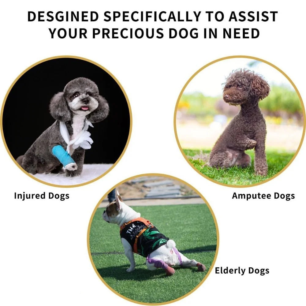Legs Support Dog Back Brace Various Sizes Adjustable Puppy Sling Carrier Breathable Pet Assist Belt Dog Lift Harness Recovery