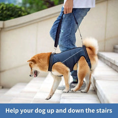 Legs Support Dog Back Brace Various Sizes Adjustable Puppy Sling Carrier Breathable Pet Assist Belt Dog Lift Harness Recovery