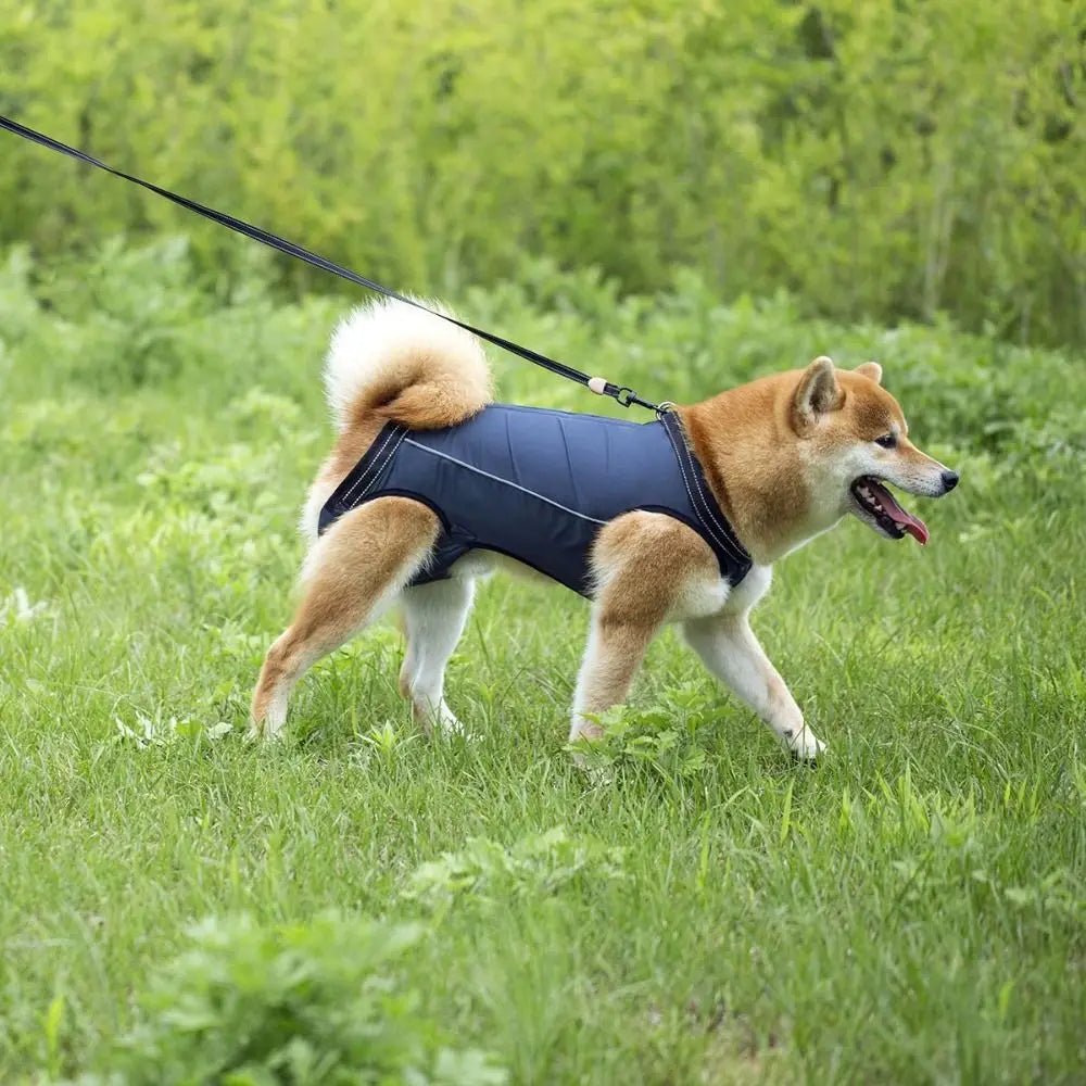 Legs Support Dog Back Brace Various Sizes Adjustable Puppy Sling Carrier Breathable Pet Assist Belt Dog Lift Harness Recovery