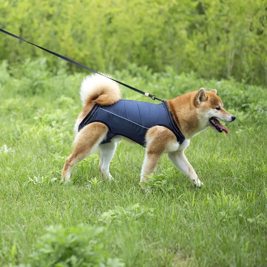 Legs Support Dog Back Brace Various Sizes Adjustable Puppy Sling Carrier Breathable Pet Assist Belt Dog Lift Harness Recovery