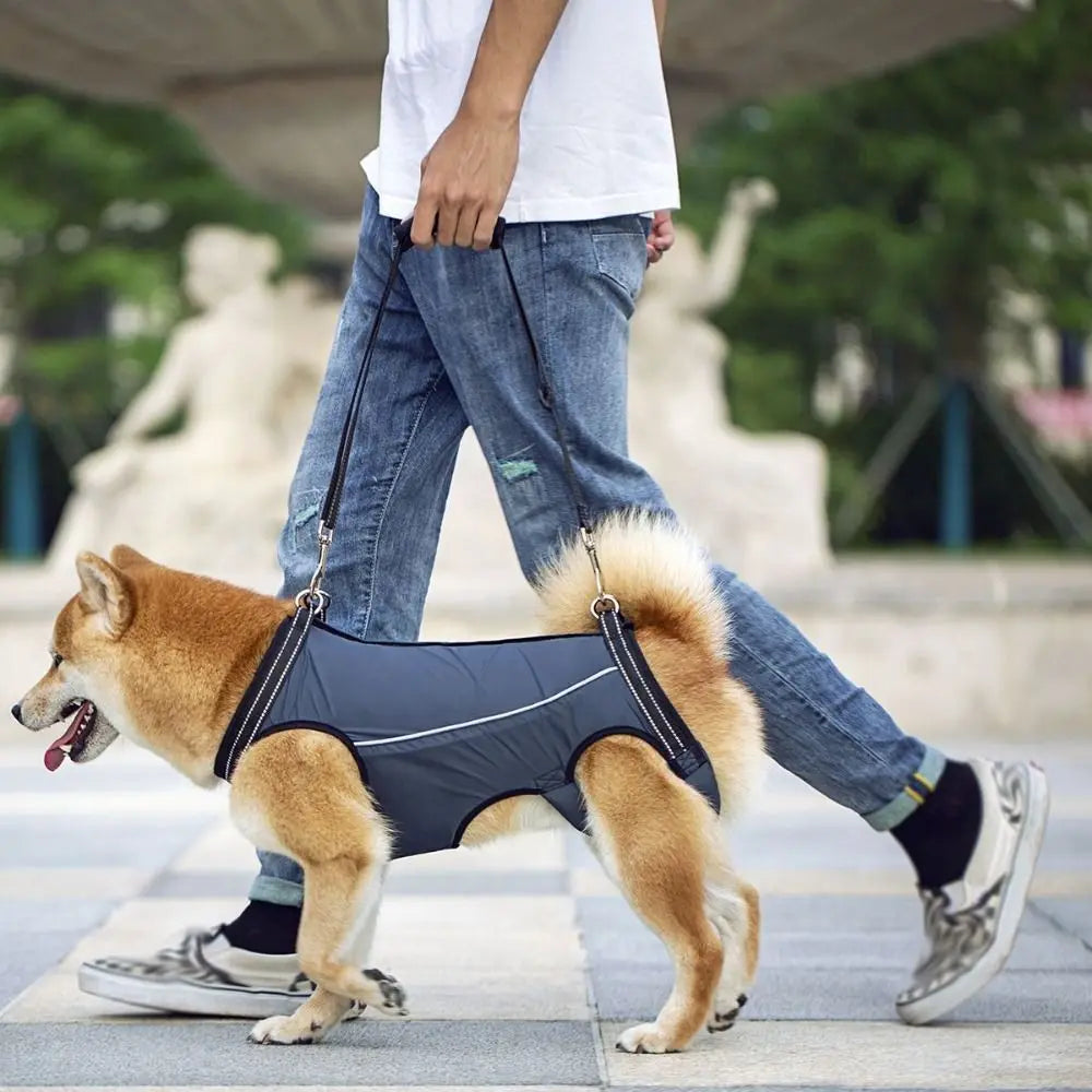 Legs Support Dog Back Brace Various Sizes Adjustable Puppy Sling Carrier Breathable Pet Assist Belt Dog Lift Harness Recovery
