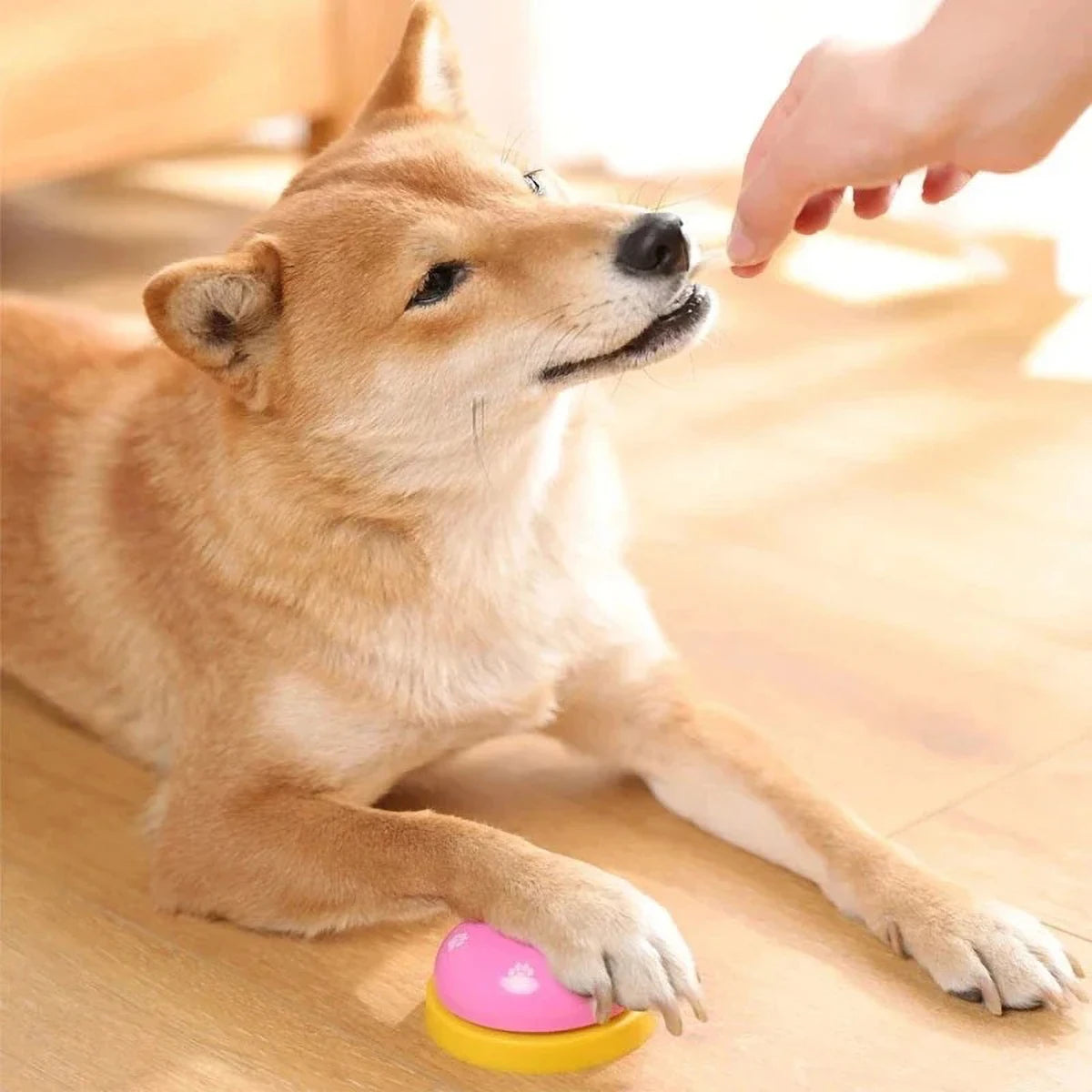 Interactive dog feeding training bell anti slip base easy to press hand training toys for dogs cats and children's pets button