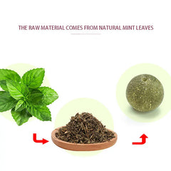 Cats Catnip Cat Toy Natural Ball Removal  Cat Grass Treats to Improve Digestion Wall Sticker Scratch Itchy Treat Healthy Supplie