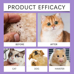 Pet Flea Tick Mites Repellent Shooting Spray with Natural Ingredients Essential Oils for Dogs and Cats External Insect Remover